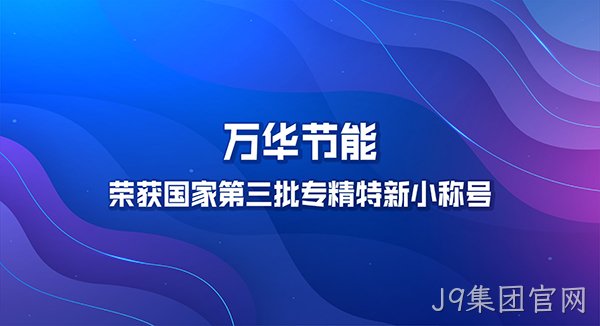 J9集团官网荣获国家第三批专精特新小巨人称号
